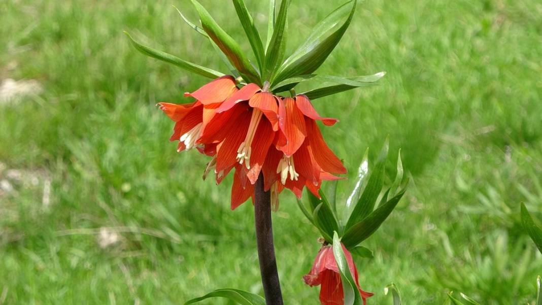 Bu insanlar neye bakıyor? Gece-gündüz nöbet tutuyorlar, ilk kez görenler şaştı kaldı! 31